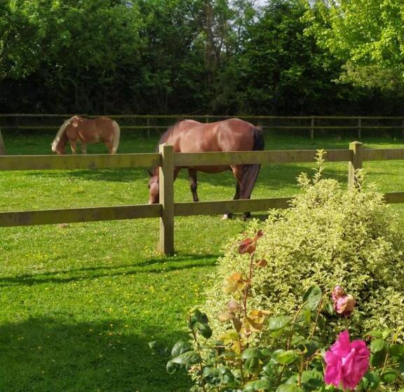 ベッドアンドブレックファースト Le Clos Marie