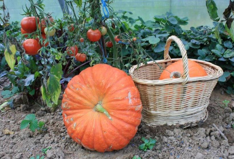 ベッドアンドブレックファースト Le Clos Marie