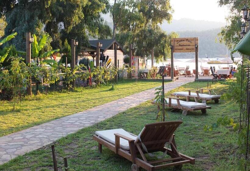 住宿加早餐  Sakin Vadi Winehouse