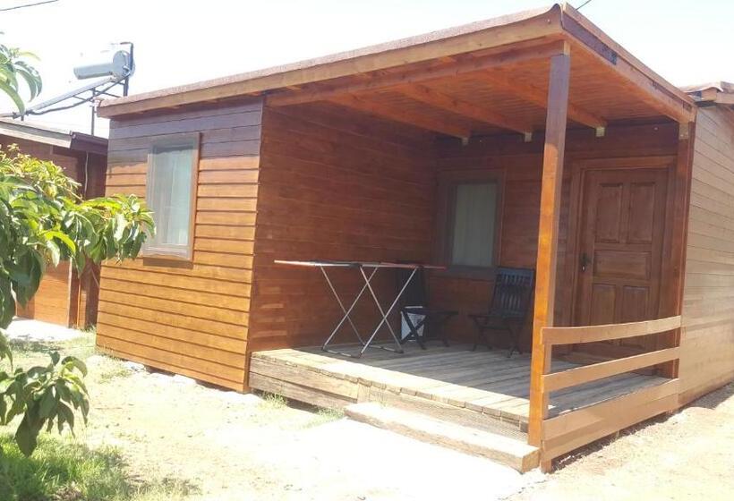 住宿加早餐  Sakin Vadi Winehouse