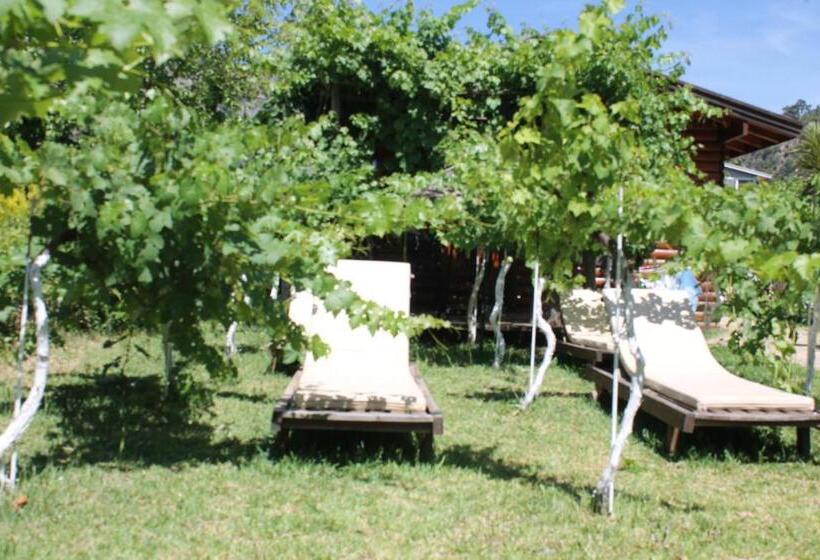 住宿加早餐  Sakin Vadi Winehouse