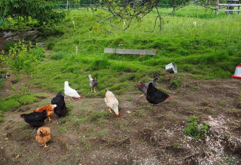 호텔 Stockreiter Vulgo Grillschmied