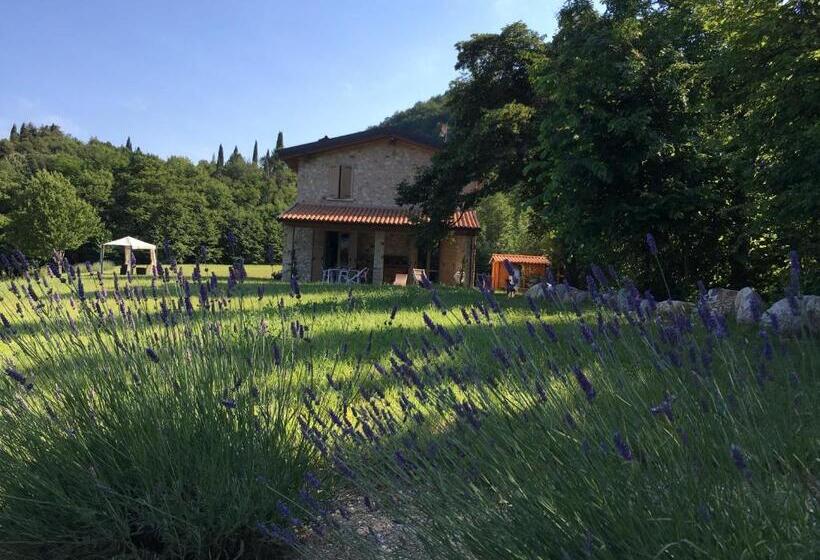 هتل Agriturismo Casa Del Castagneto