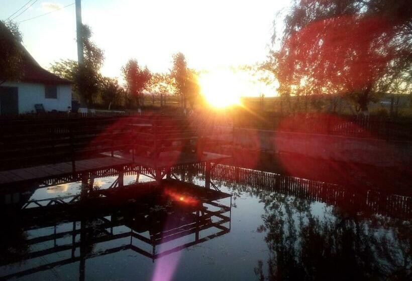 בית מלון כפרי Pensiunea ,,la Struti