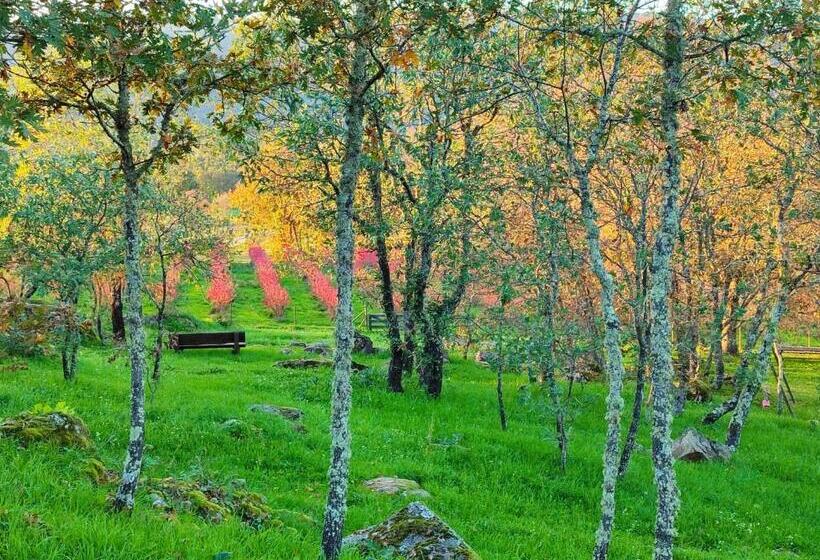 בית מלון כפרי Quinta Dos Carvalhais   Serra Da Estrela