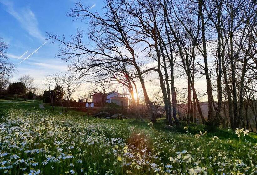 בית מלון כפרי Quinta Dos Carvalhais   Serra Da Estrela