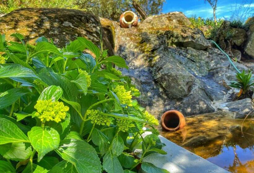 펜션 Casa Rico Frade Garden