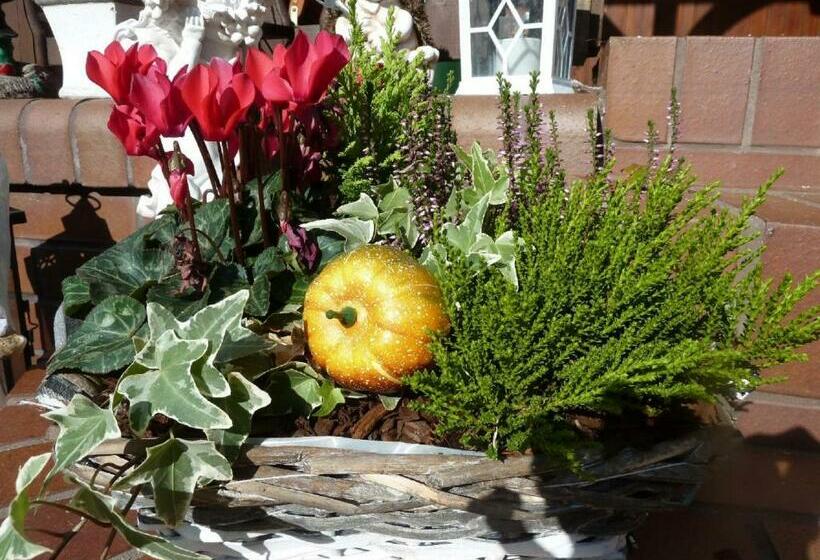 Пансион Gästehaus Am Schloßpark