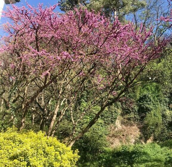 Majatalo Maison D Hôtes Côté Saône