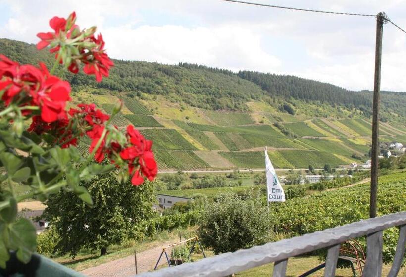 ペンション Weingut Brennerei Gästehaus Emil Dauns