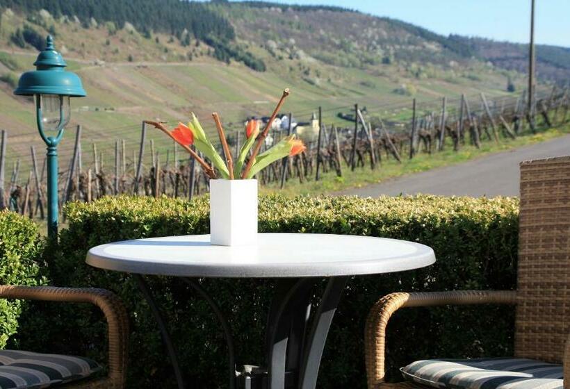 ペンション Weingut Brennerei Gästehaus Emil Dauns