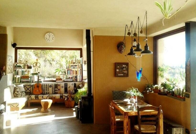 B&b Asinochevola