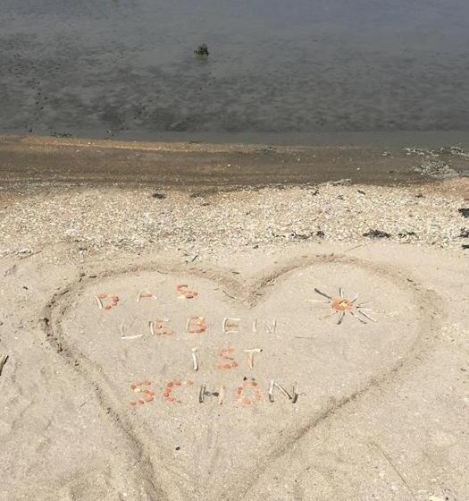 مبيت وإفطار T Laaisterplakky