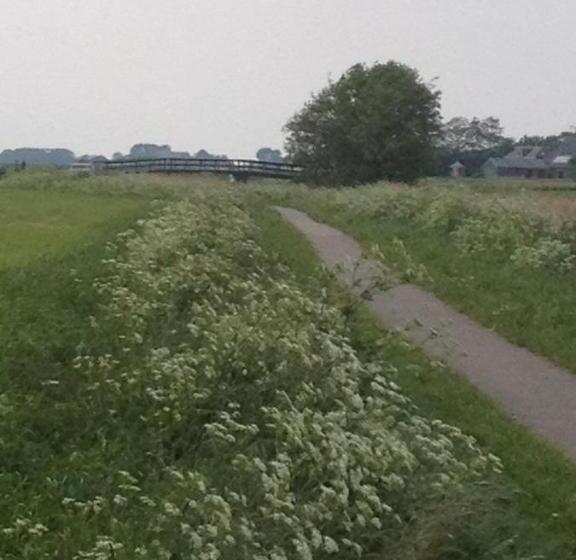 مبيت وإفطار T Laaisterplakky