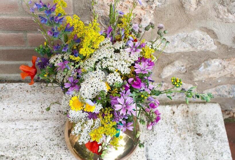 住宿加早餐 Torre Della Chiocciola