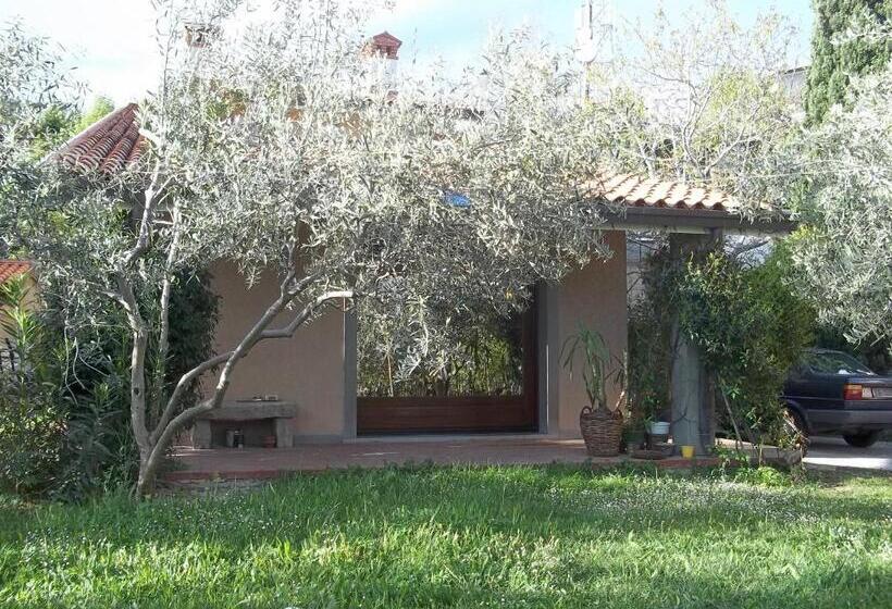 تختخواب و صبحانه Villa Ambrosia