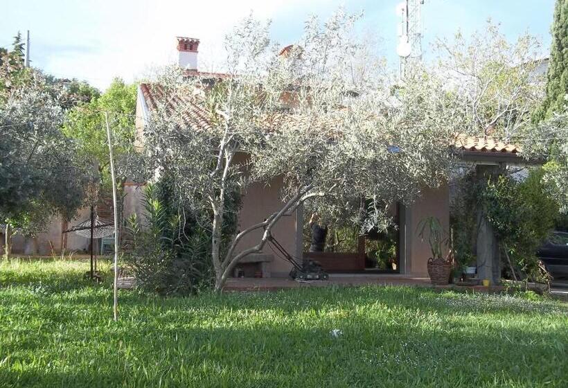 تختخواب و صبحانه Villa Ambrosia