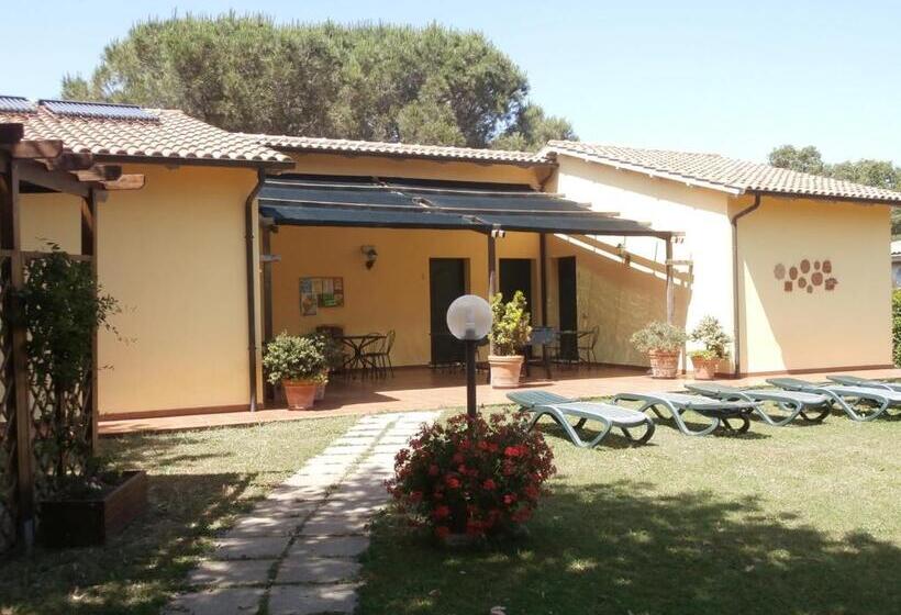 فندق Agriturismo Poggio Sassineri