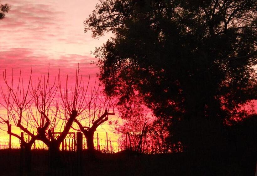 فندق Agriturismo Poggio Sassineri