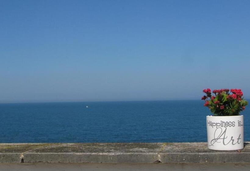 Il Mulino Di Amleto   Bed And Breakfast Letterario