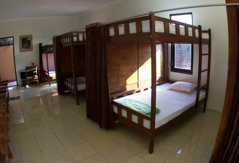 פנסיון Crown Guest House