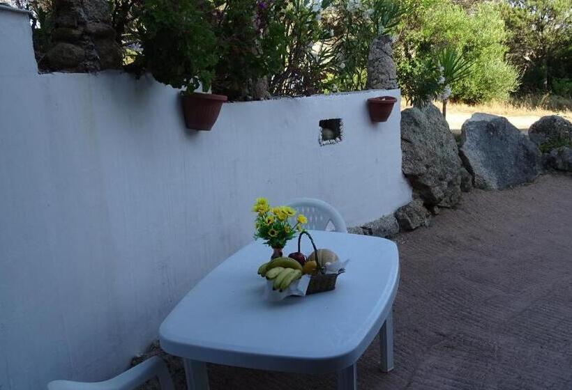 膳宿费 Locanda Domus De Vida Turismo Rurale