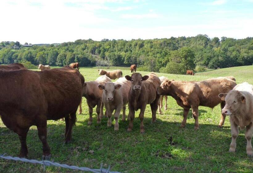 צימר Chambres D Hôtes   Domaine De La Grangeotte