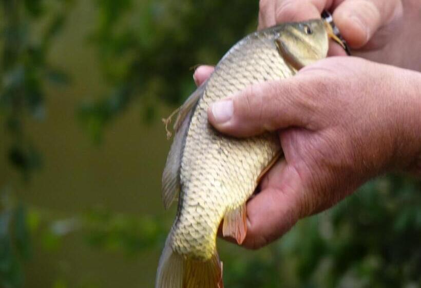 צימר Chambres D Hôtes   Domaine De La Grangeotte