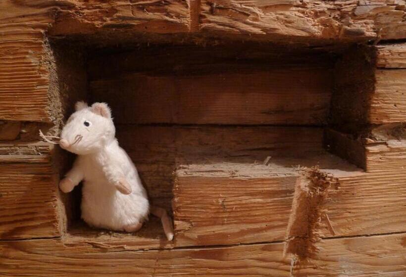 مبيت وإفطار Heuholzmühle Privatzimmer