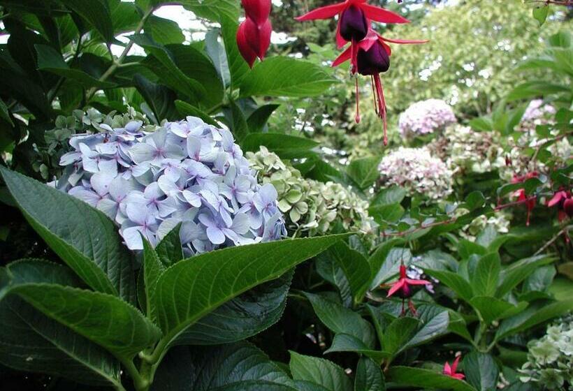 مبيت وإفطار Invitation Au Rivage