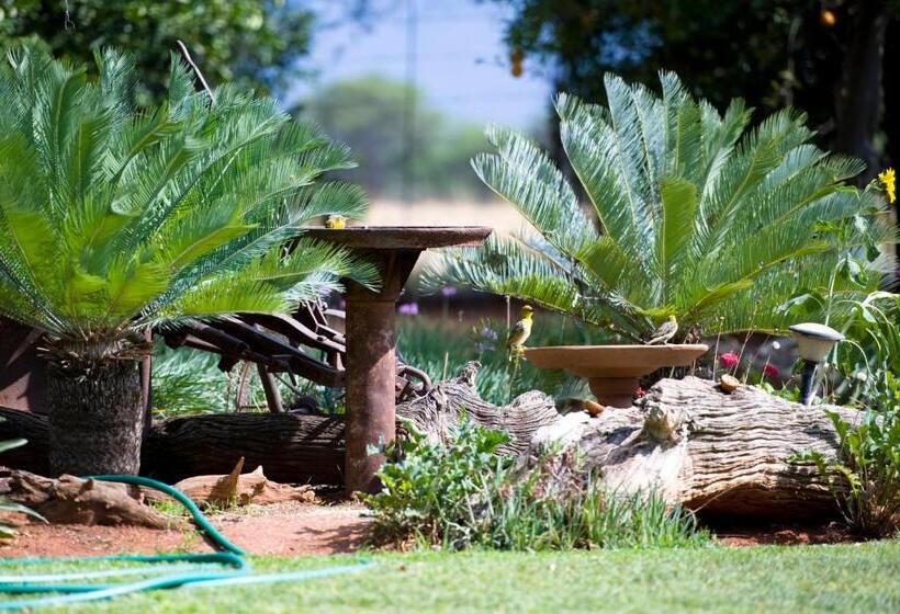 酒店 Boschfontein Guest Farm