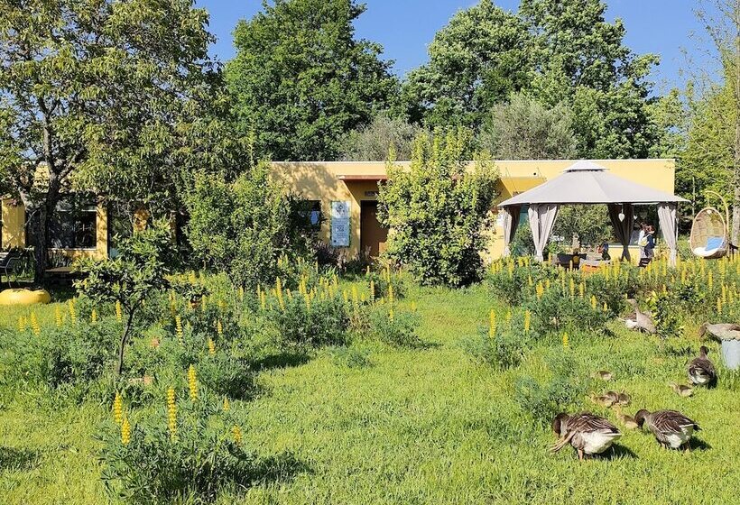 هتل Casa Das Palmeiras Pedagogic Farm