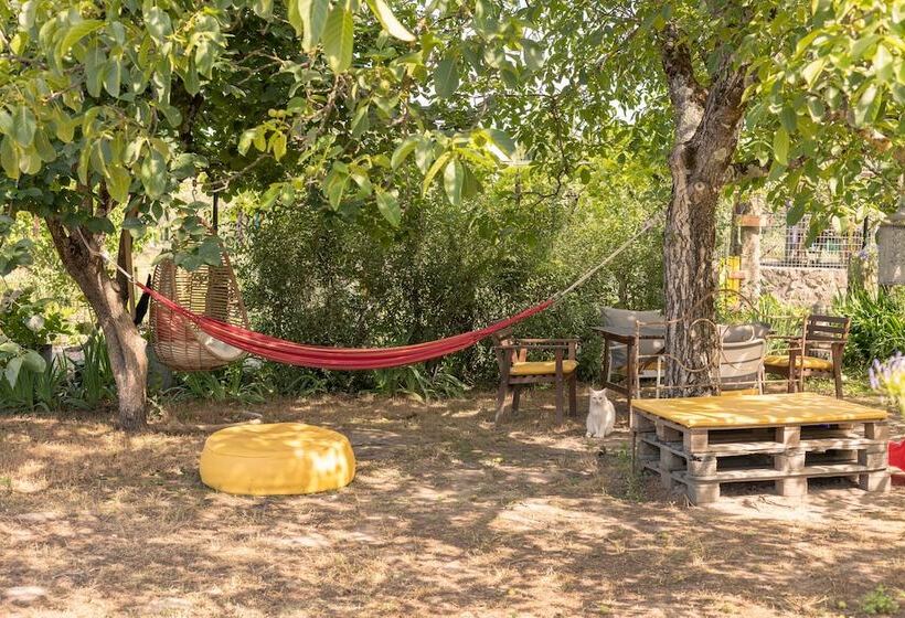 هتل Casa Das Palmeiras Pedagogic Farm