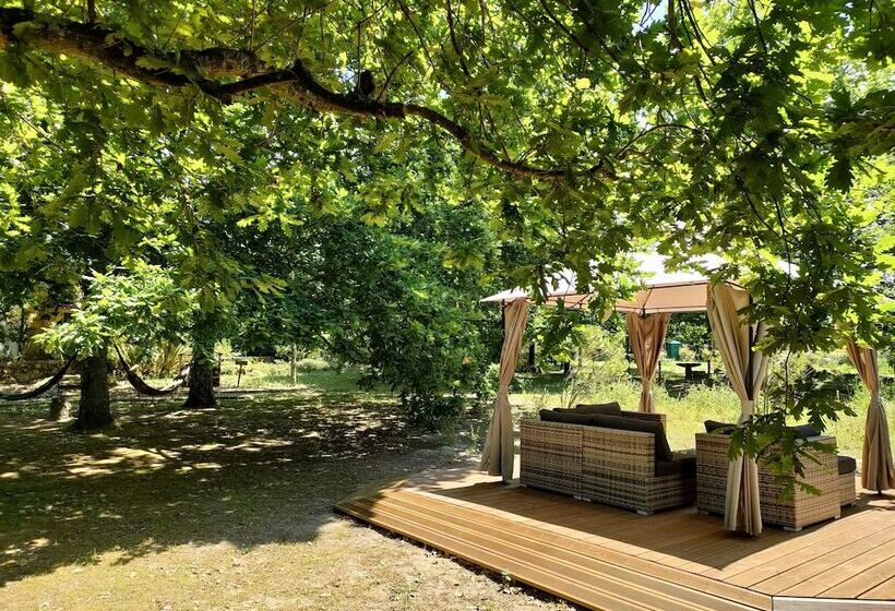 هتل Casa Das Palmeiras Pedagogic Farm