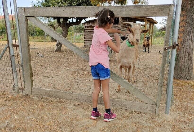 هتل Casa Das Palmeiras Pedagogic Farm