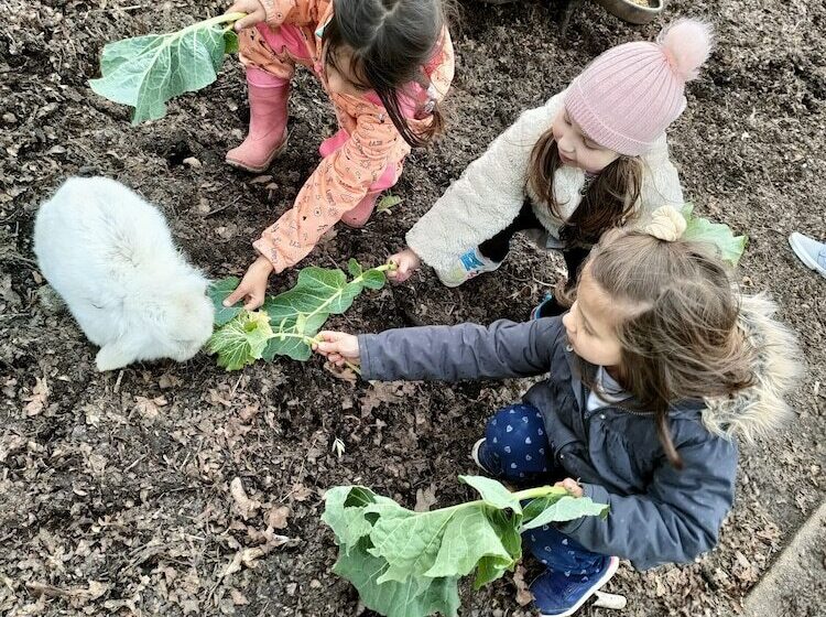 هتل Casa Das Palmeiras Pedagogic Farm