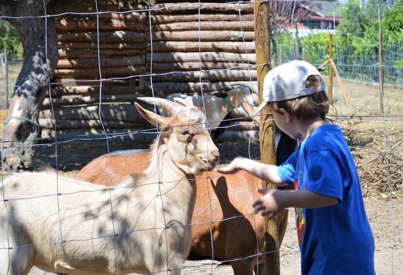 هتل Casa Das Palmeiras Pedagogic Farm