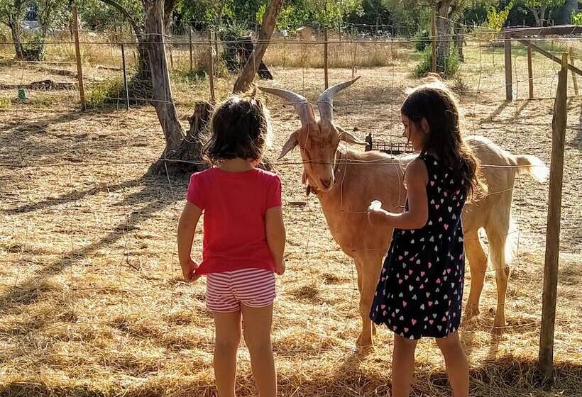 هتل Casa Das Palmeiras Pedagogic Farm