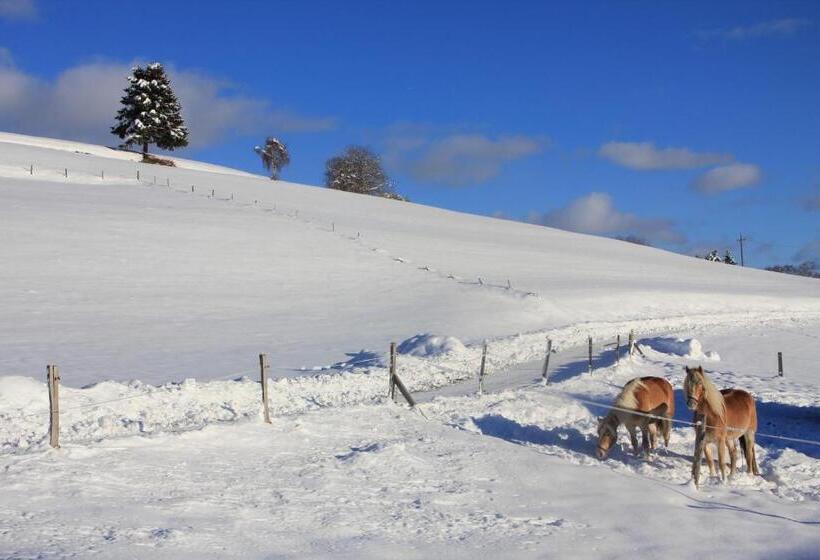Отель Urlaub Am Bio Bauernhof Liebchen