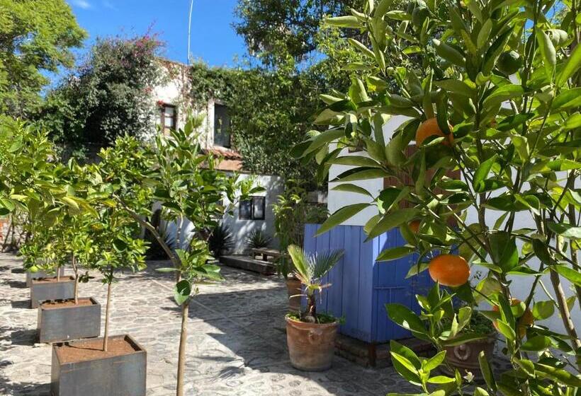 Posada Colibri   Hotel & Spa