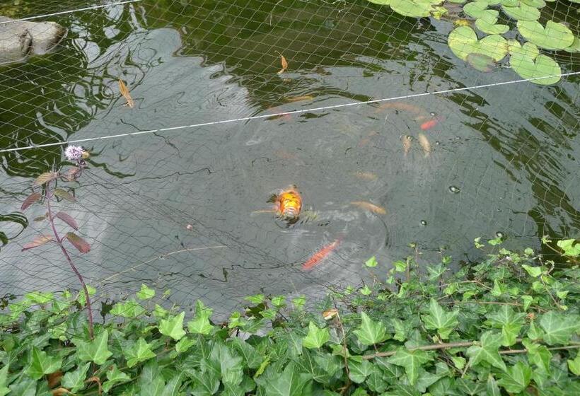 B&b De Kleine Wijngaard