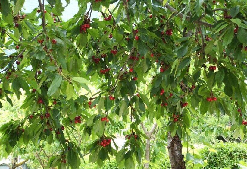 مبيت وإفطار Abruzzo Segreto