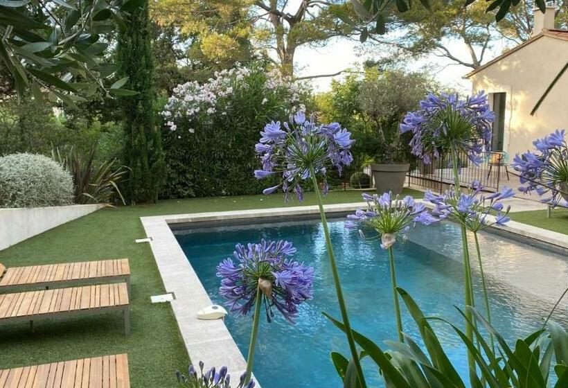 تختخواب و صبحانه La Villa Dupont D Avignon