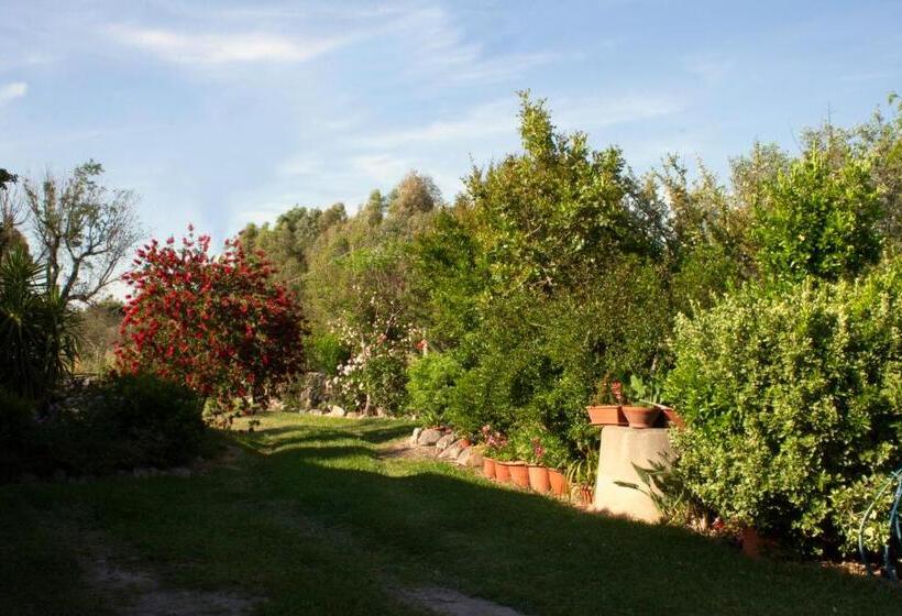 住宿加早餐  Il Vecchioliveto Di Ornella