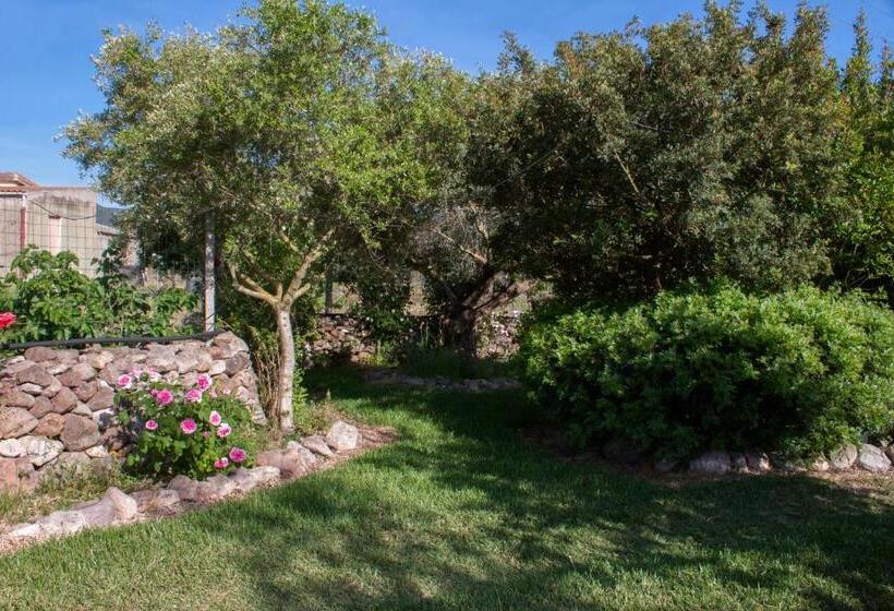 Bed and Breakfast Il Vecchioliveto Di Ornella