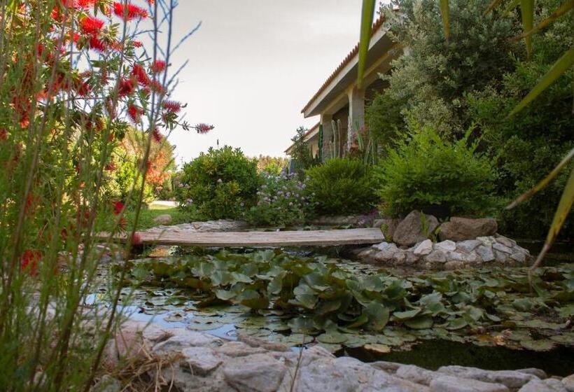 Bed and Breakfast Il Vecchioliveto Di Ornella