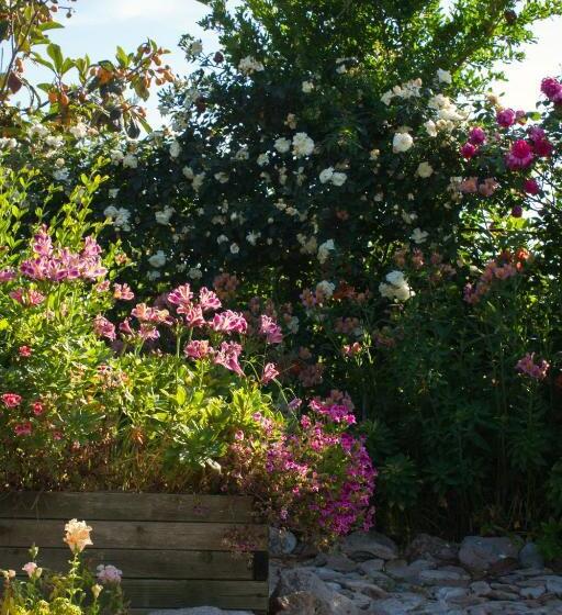 Bed and Breakfast Il Vecchioliveto Di Ornella