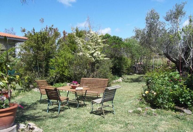 Bed and Breakfast Il Vecchioliveto Di Ornella