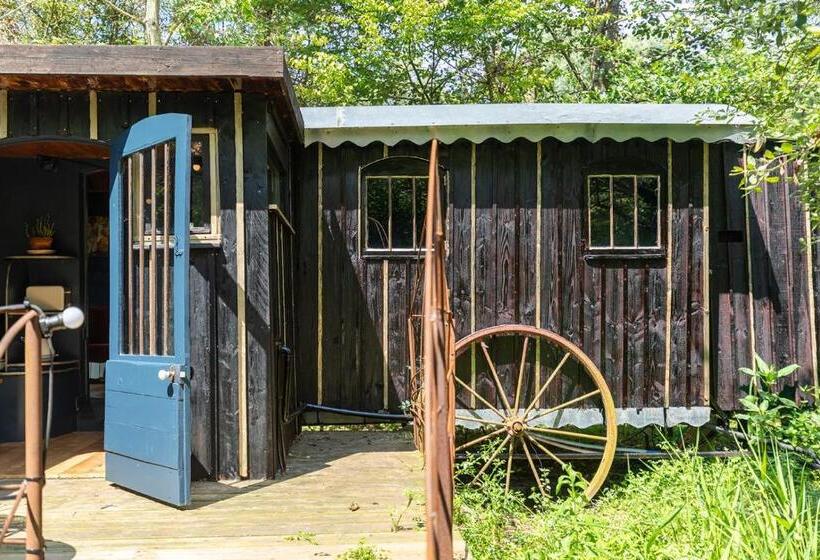 Bed and Breakfast Les Cabanes Des Marais