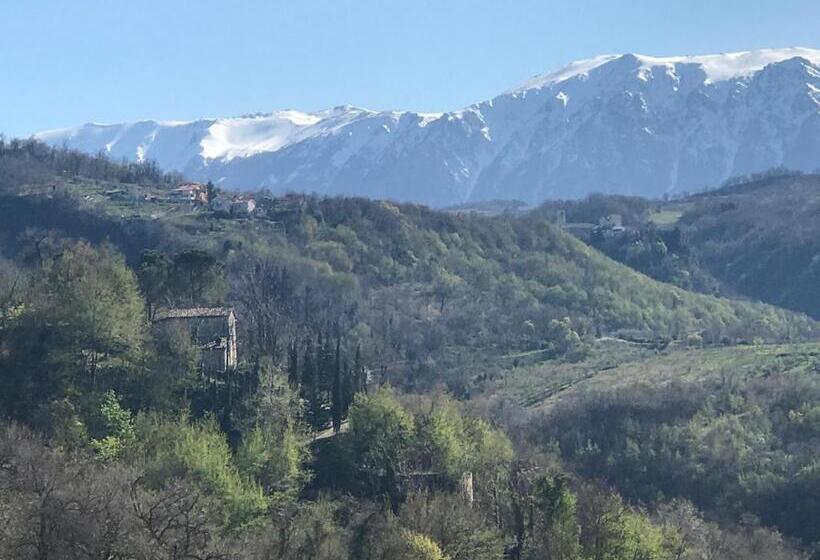 مبيت وإفطار Mary S Dream